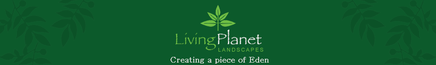 Landscaping & Garden Makeovers in Sydney